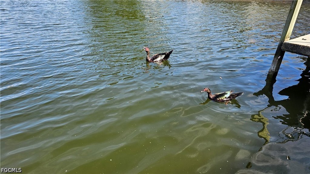 Picture 7