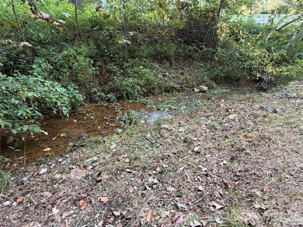 Picture 24