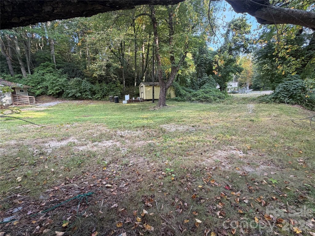 Picture 21