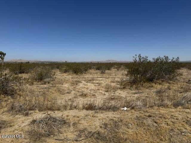 Picture 3