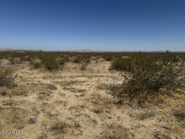 Picture 4