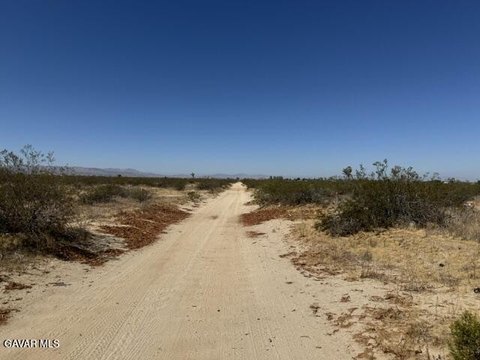 Agricultural Land with Road Frontage