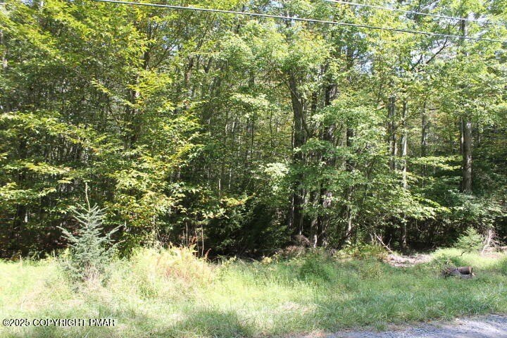 Land in Arrowhead Lake Community