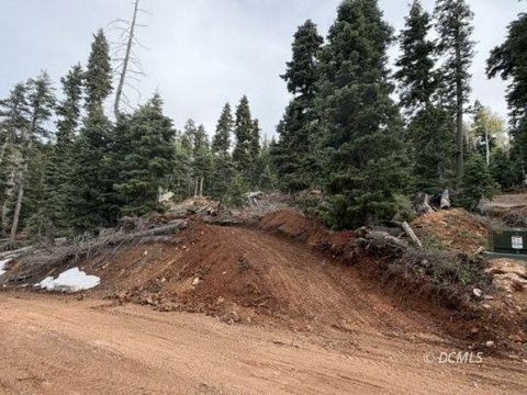 Wooded Lot Bordering National Forest