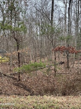 Land in Crossville, Tennessee