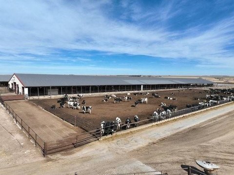 Turnkey Livestock Feeding Facility