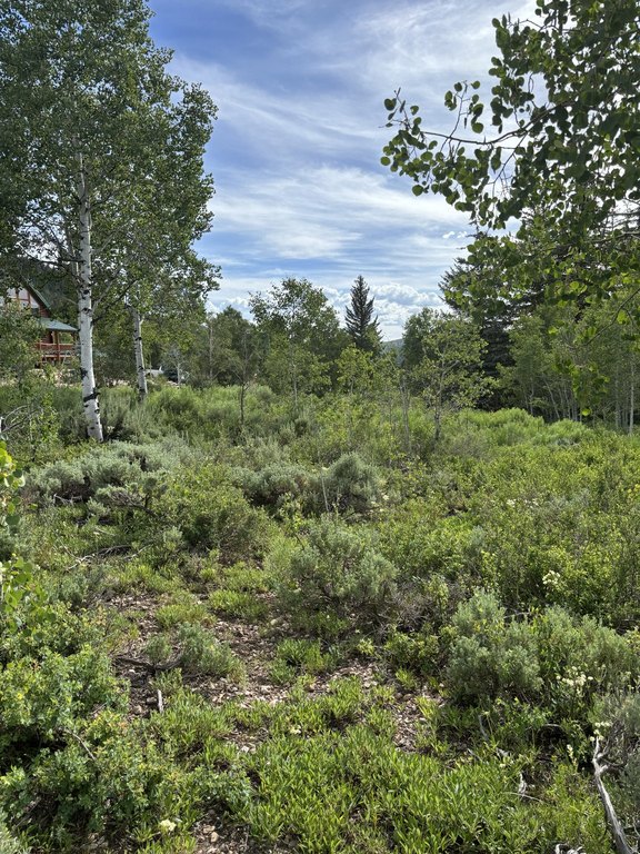 Picture 8