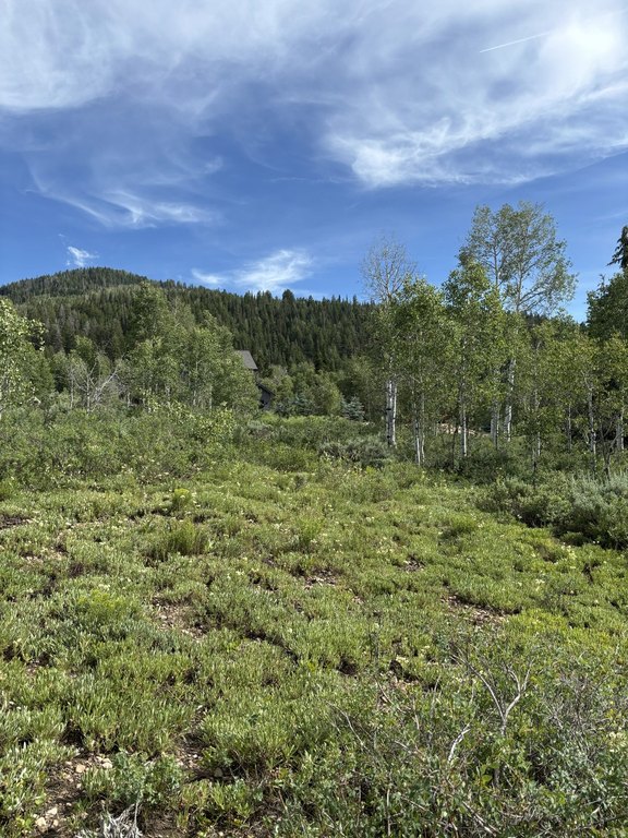 Picture 7