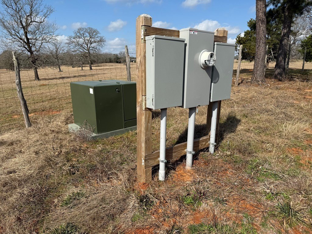 Picture 21
