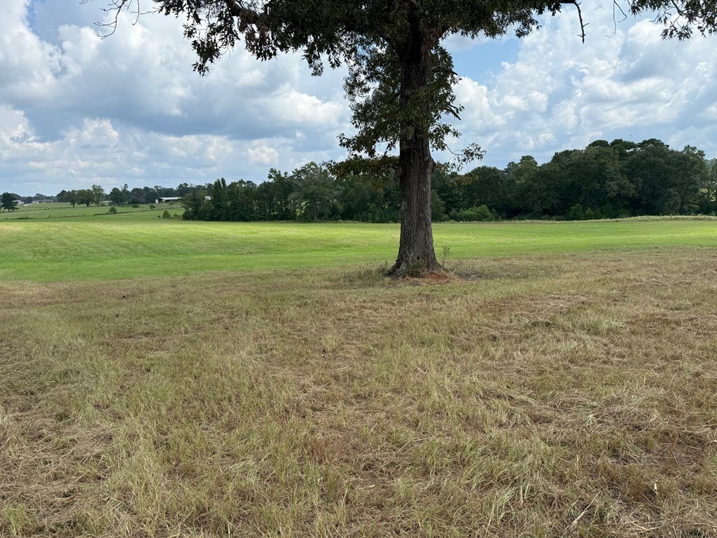 Picture 25