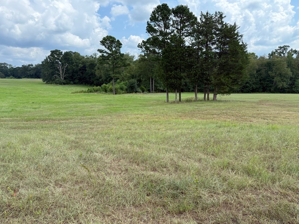 Picture 24