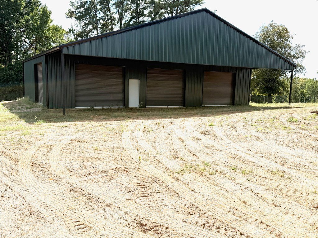 Picture 15
