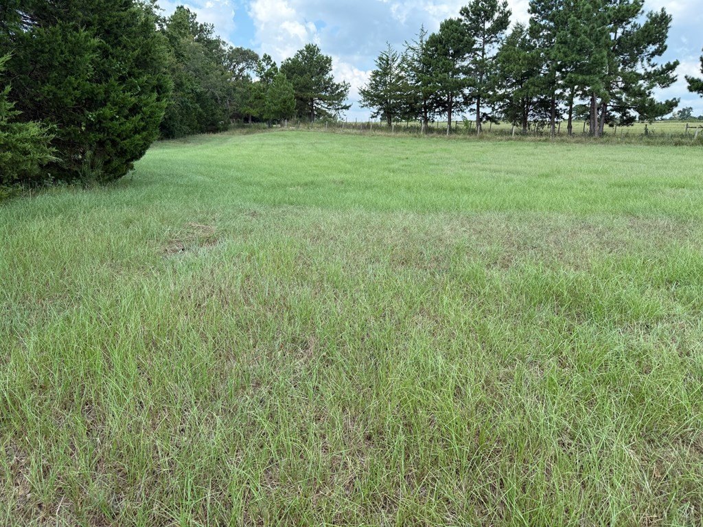 Picture 27