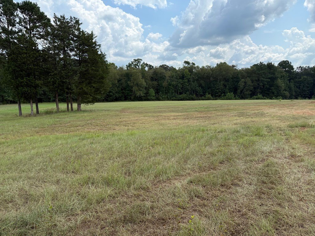 Picture 23