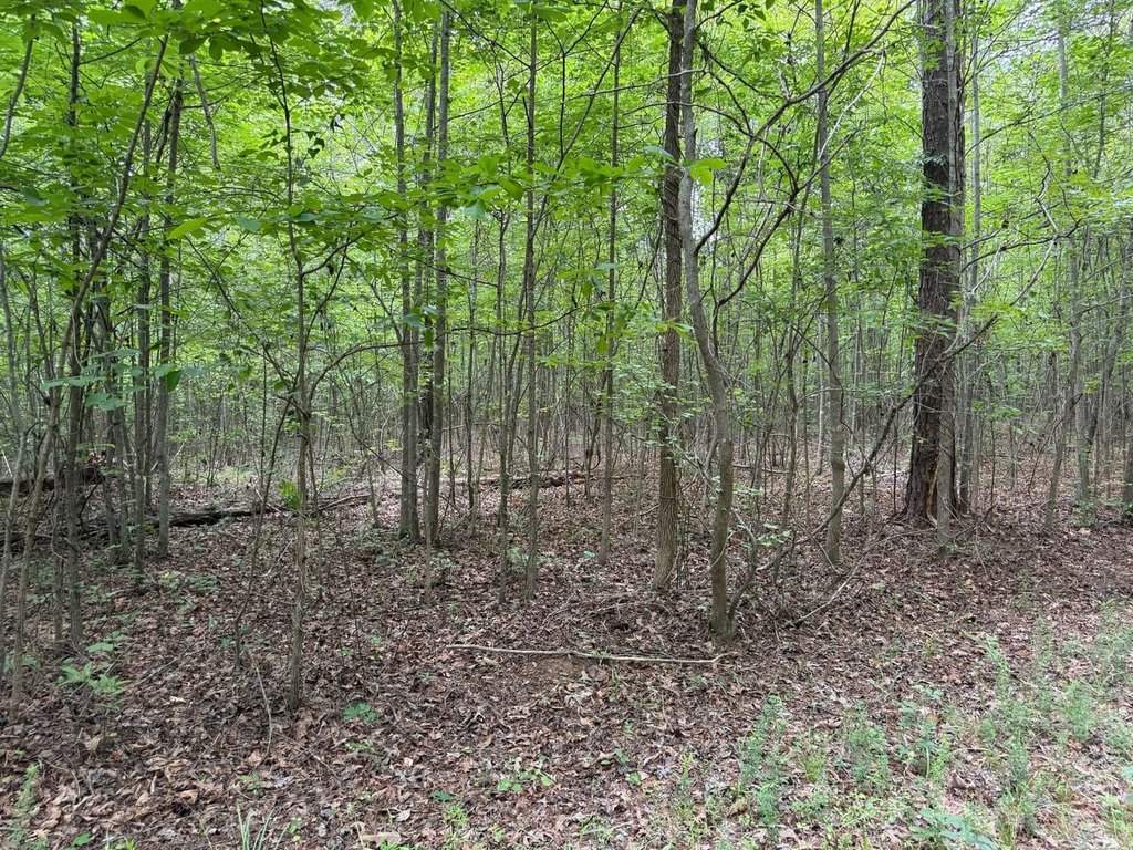 Picture 26