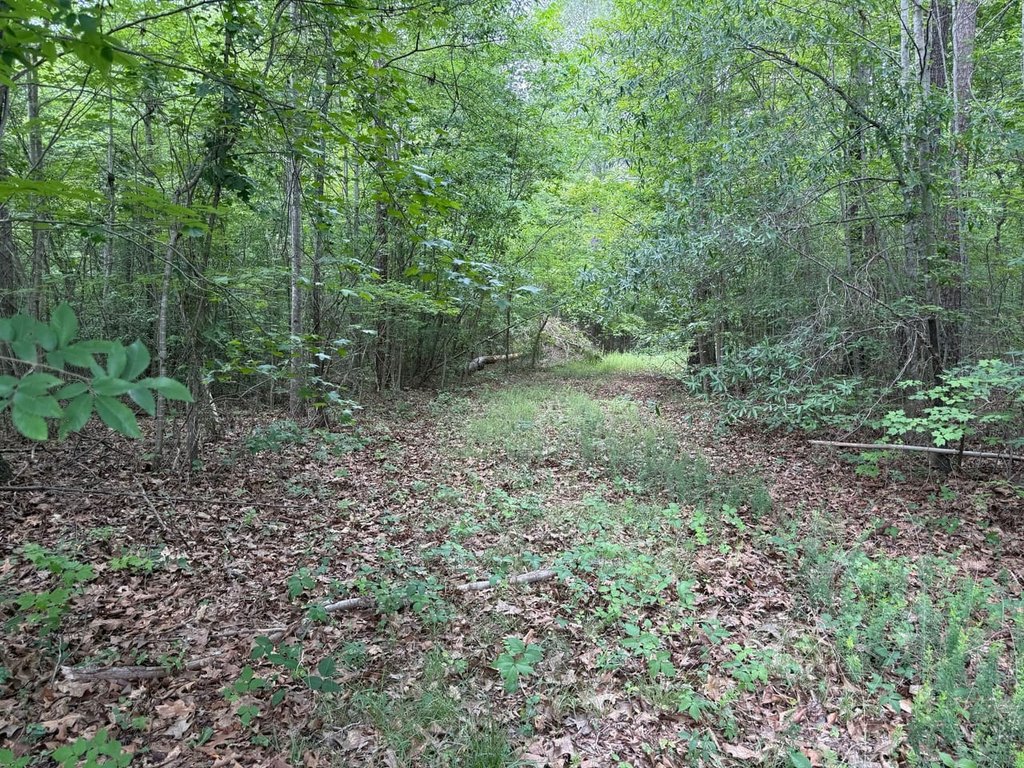 Picture 30