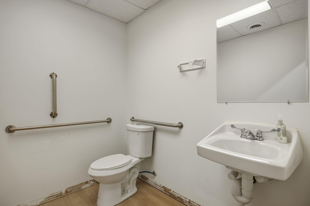 Picture 15