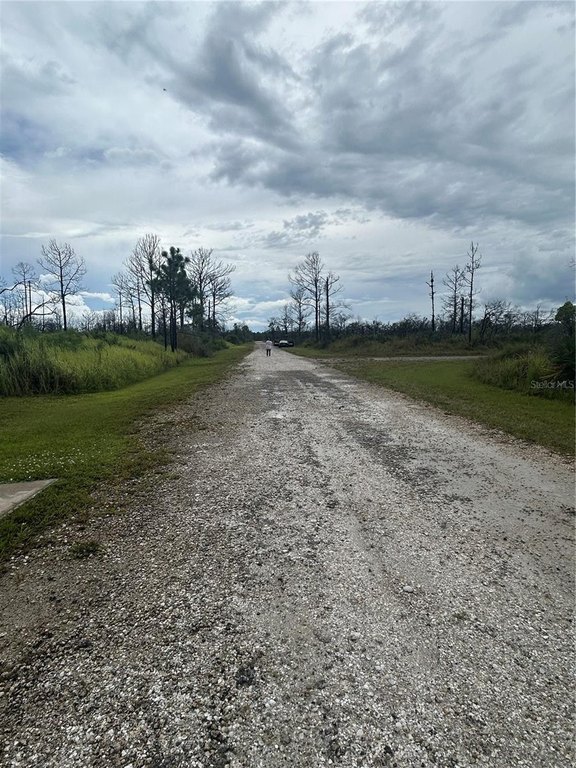 Picture 4