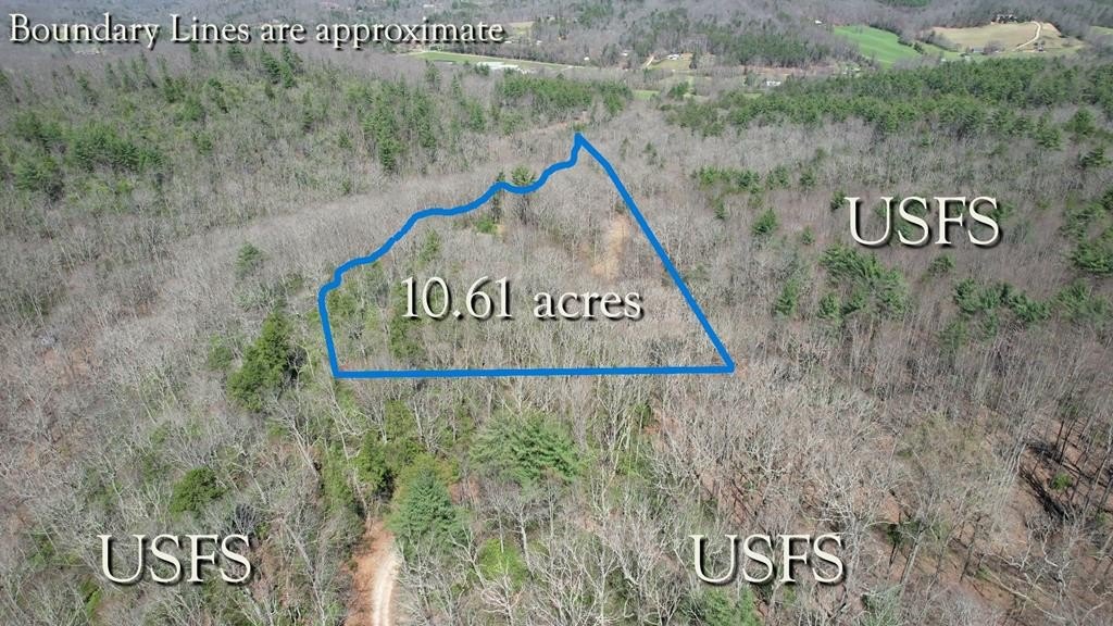 Blairsville Land Bordering National Forest