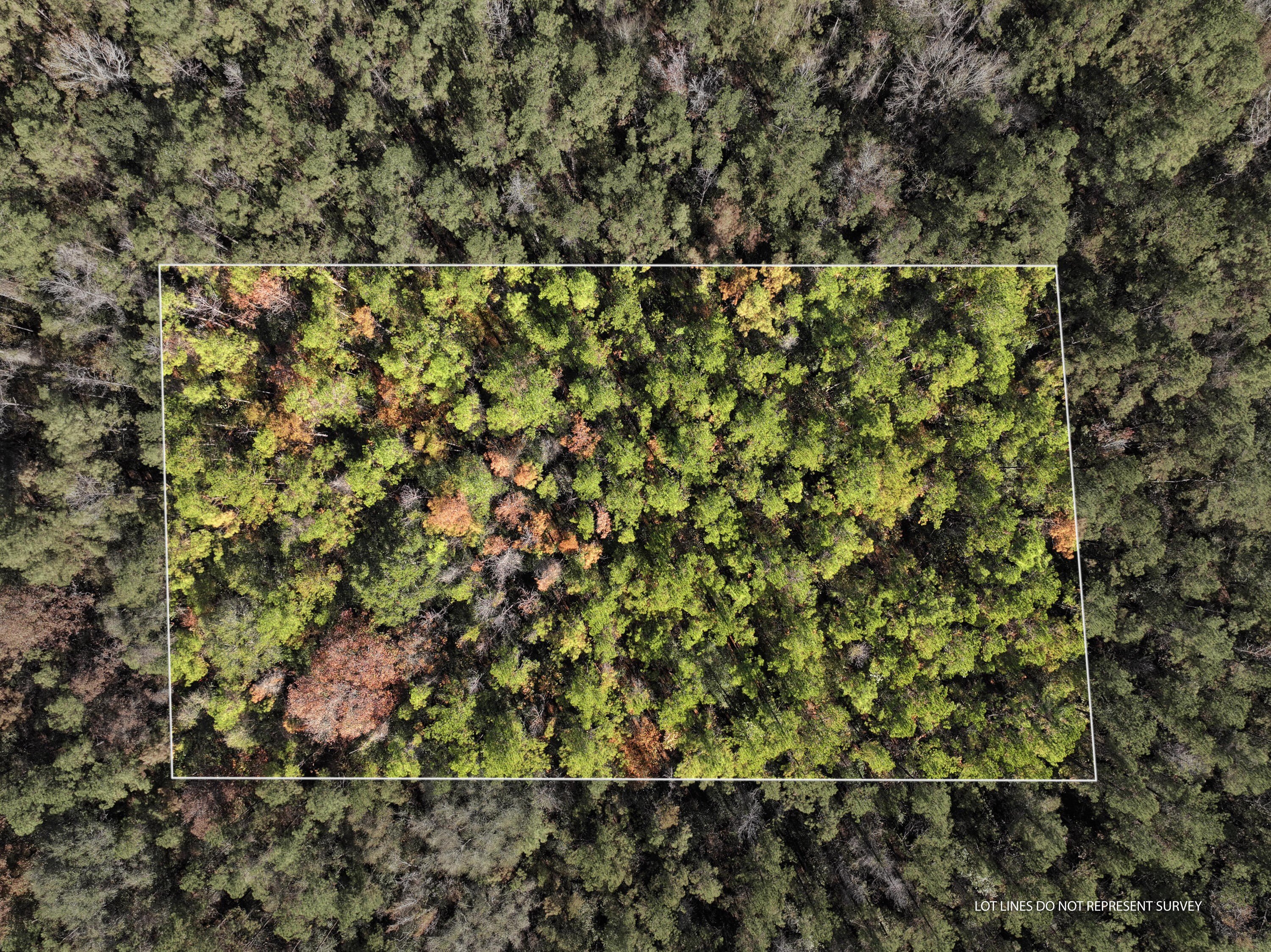 Land Near Leaf River