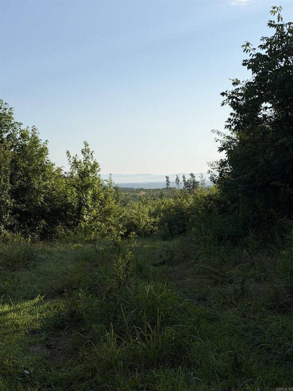 Picture 13