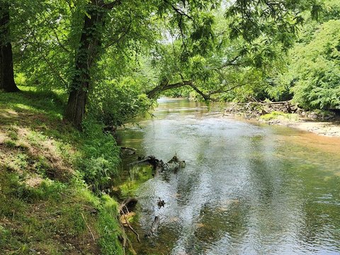 LAND - Hayesville, NC