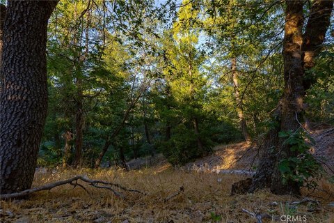 LAND - Cedarpines Park, CA