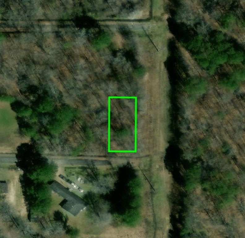 Picture 6