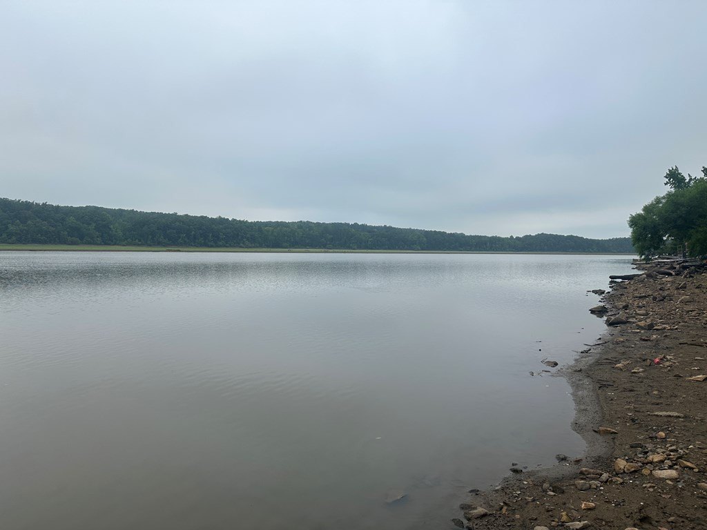 Picture 31