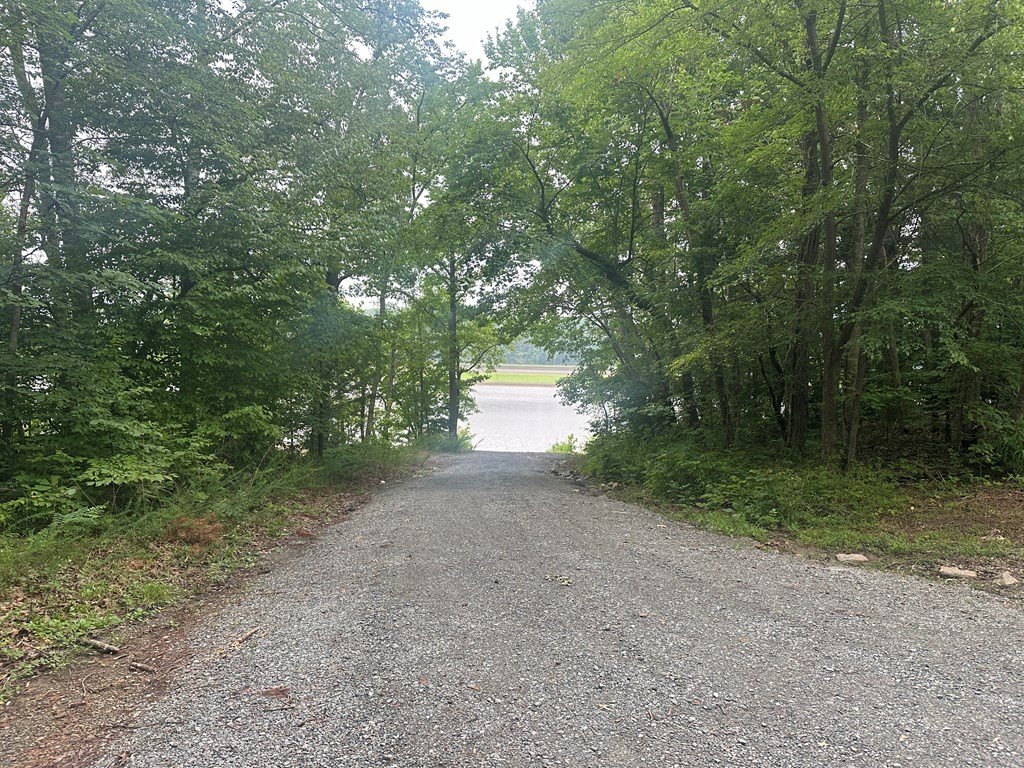 Picture 28