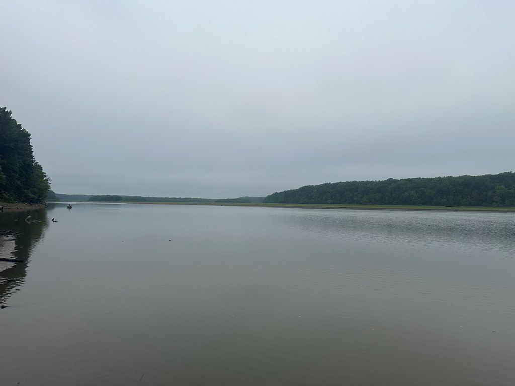 Picture 33