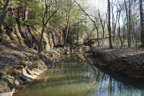 Diverse 56-Acre Land Tract