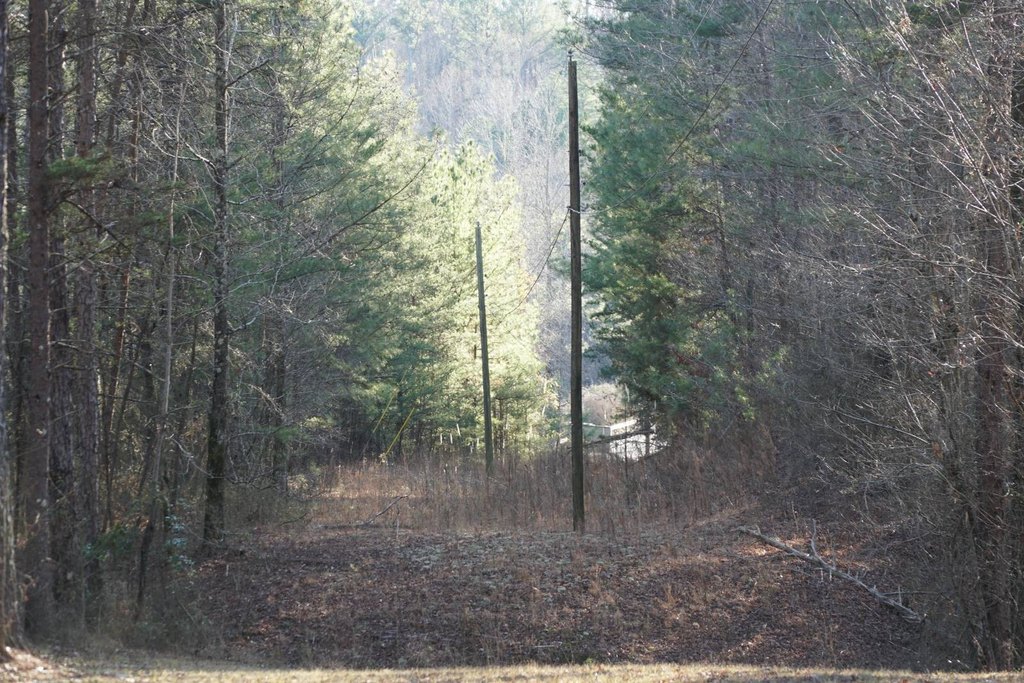 Picture 52