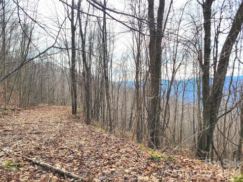 Homesite with Mountain and Valley Views