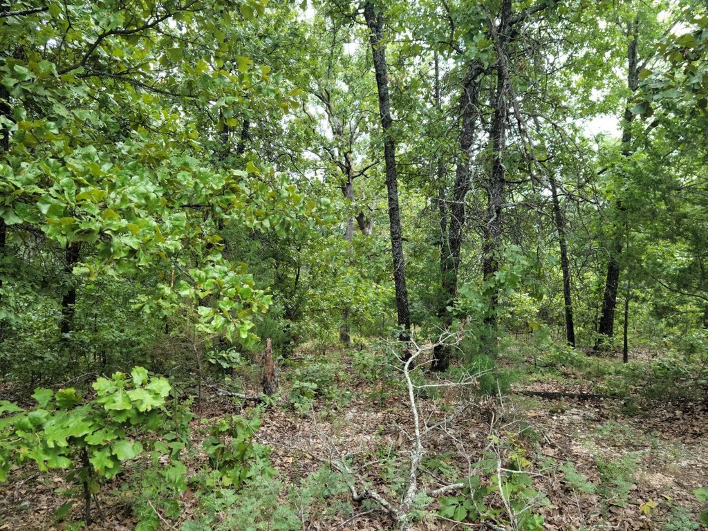 Picture 3