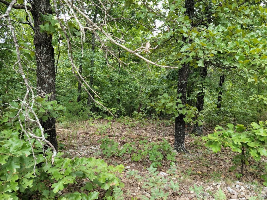 Picture 2