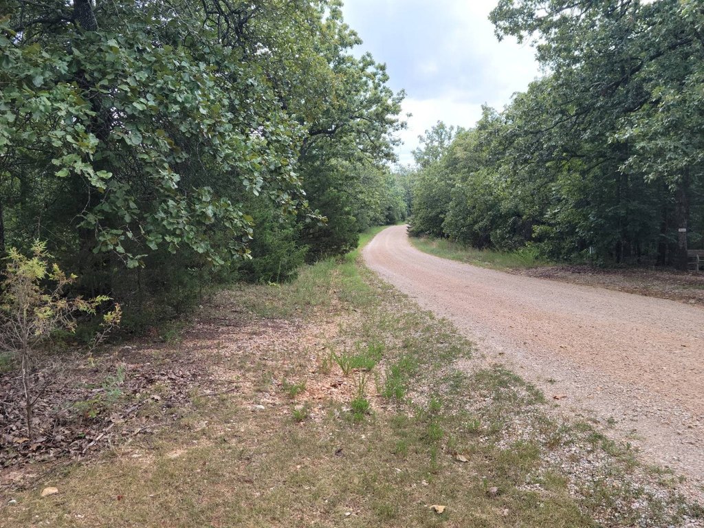 Picture 6