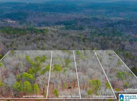 LAND - TRUSSVILLE, AL