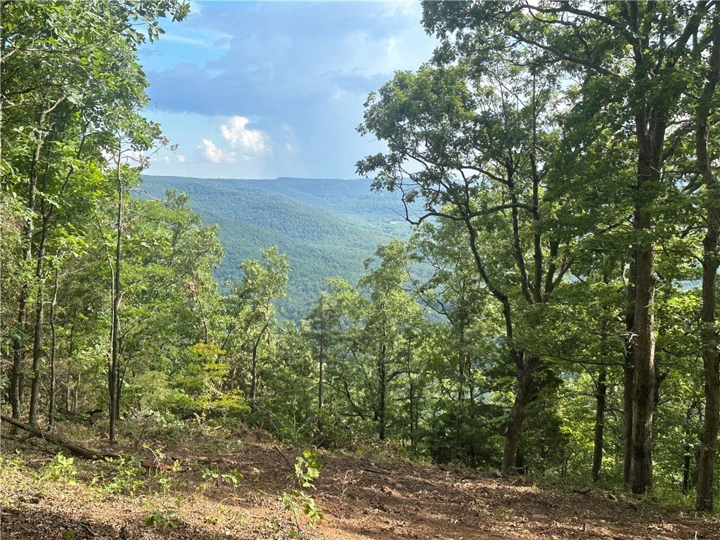 Jasper, AR Land with Views