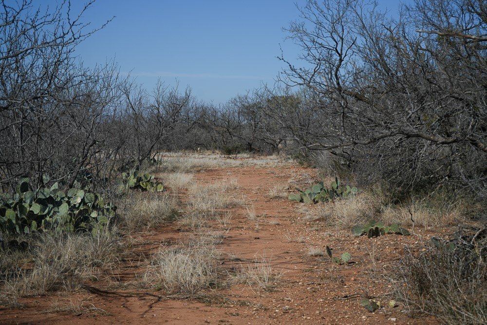 Picture 24