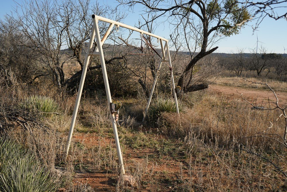 Picture 44