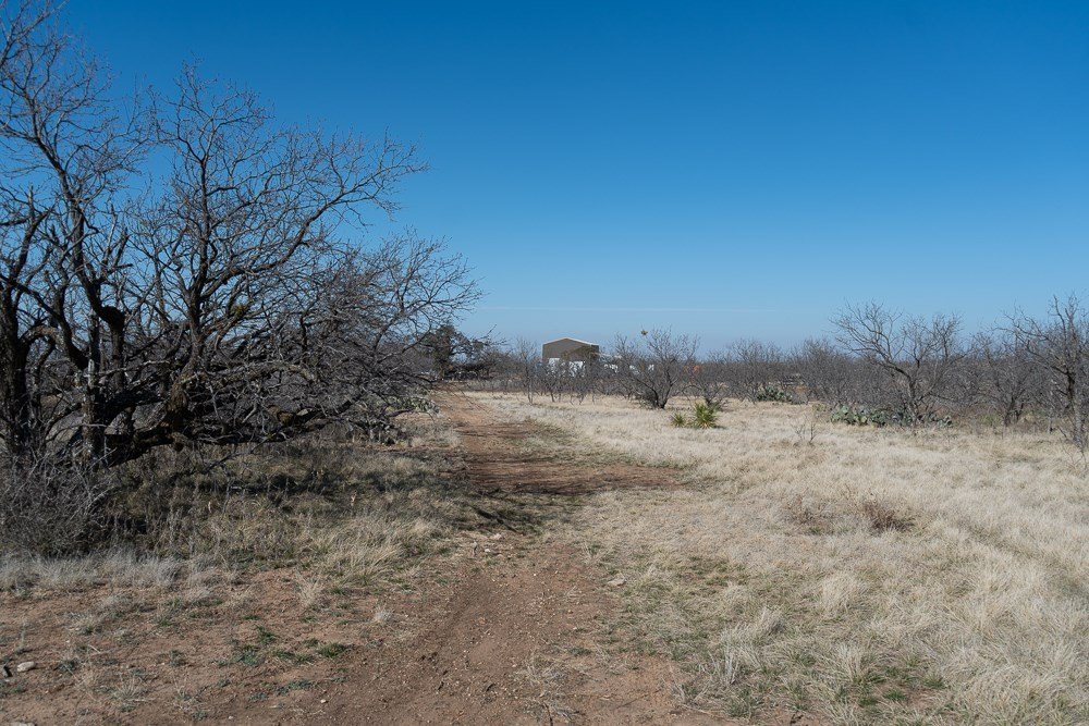 Picture 19