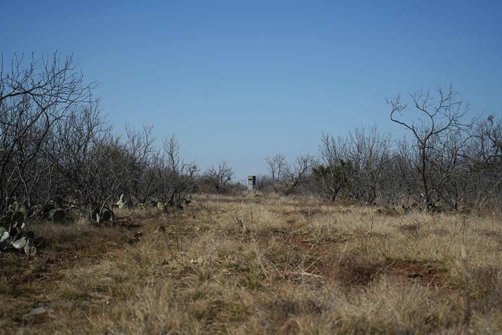 Picture 23
