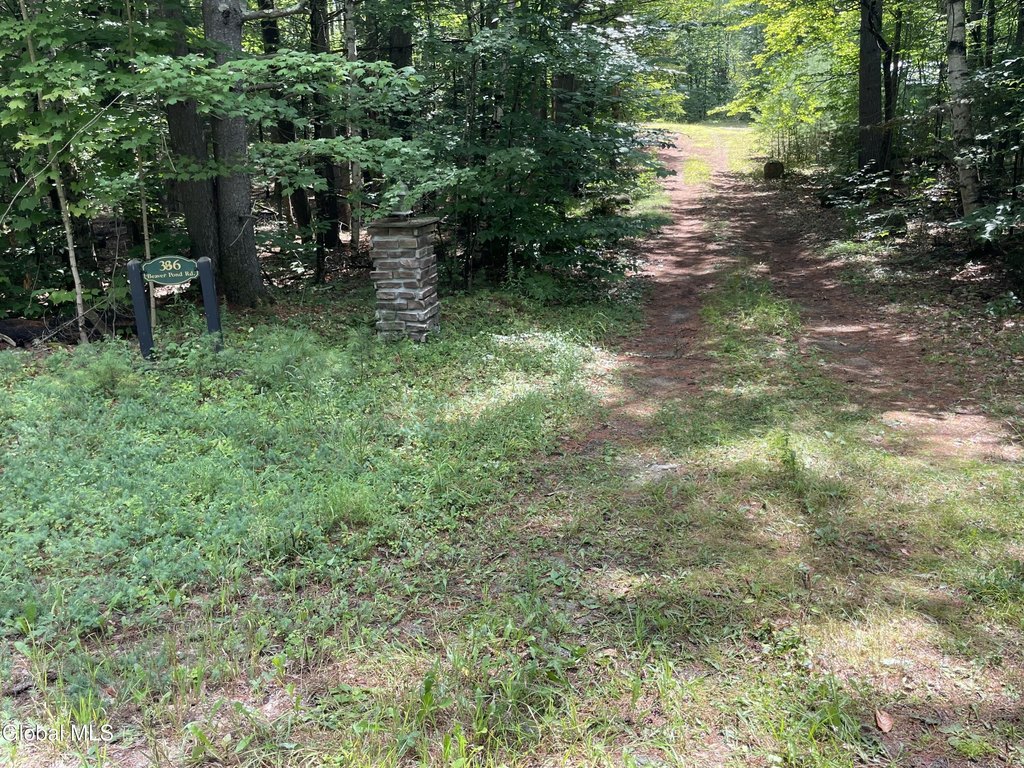 Picture 19