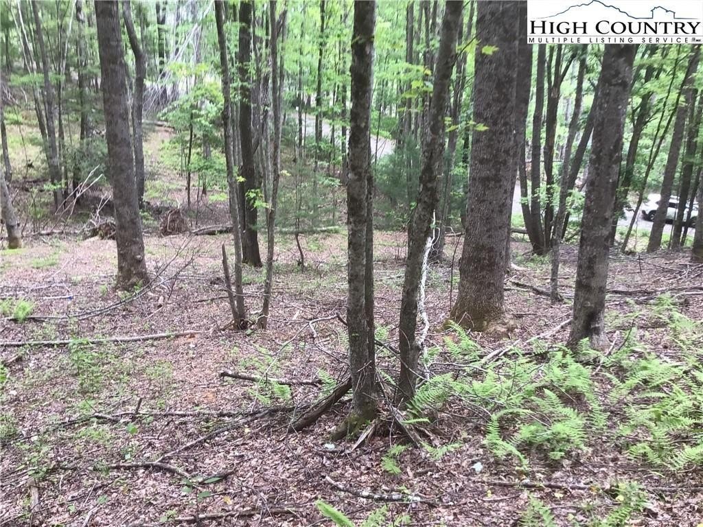Acre Lot in Laurel Springs
