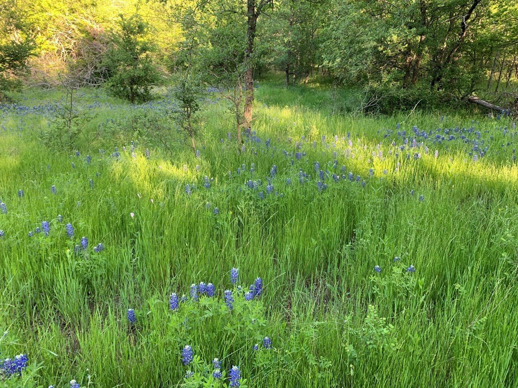 Picture 22