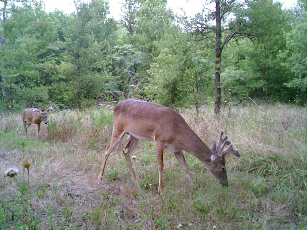 Picture 3