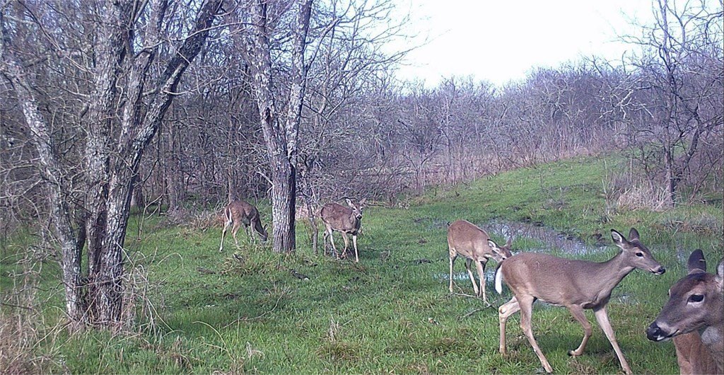 Picture 16