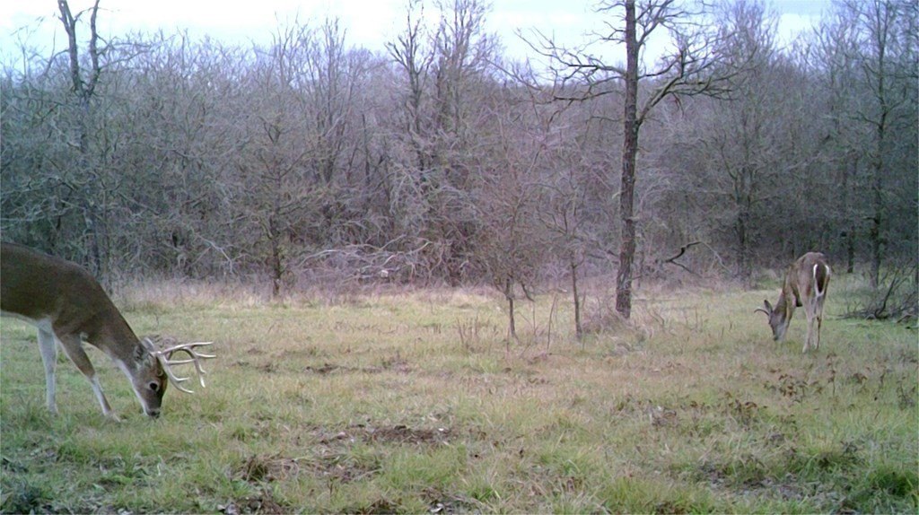 Picture 30