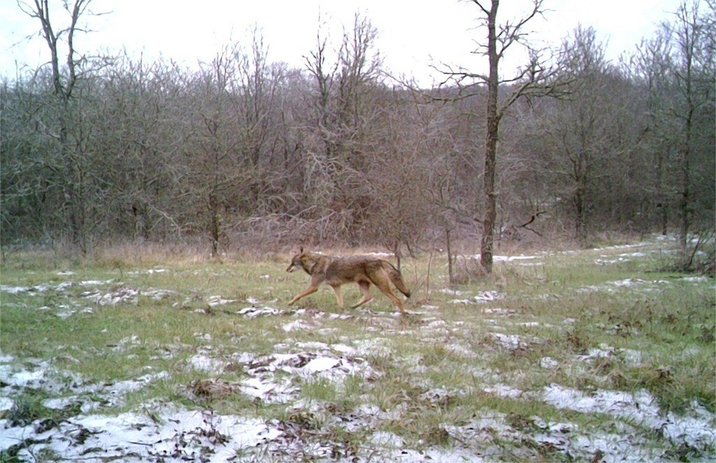 Picture 36